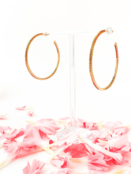 Chia Hoops